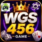 WGS456 Game